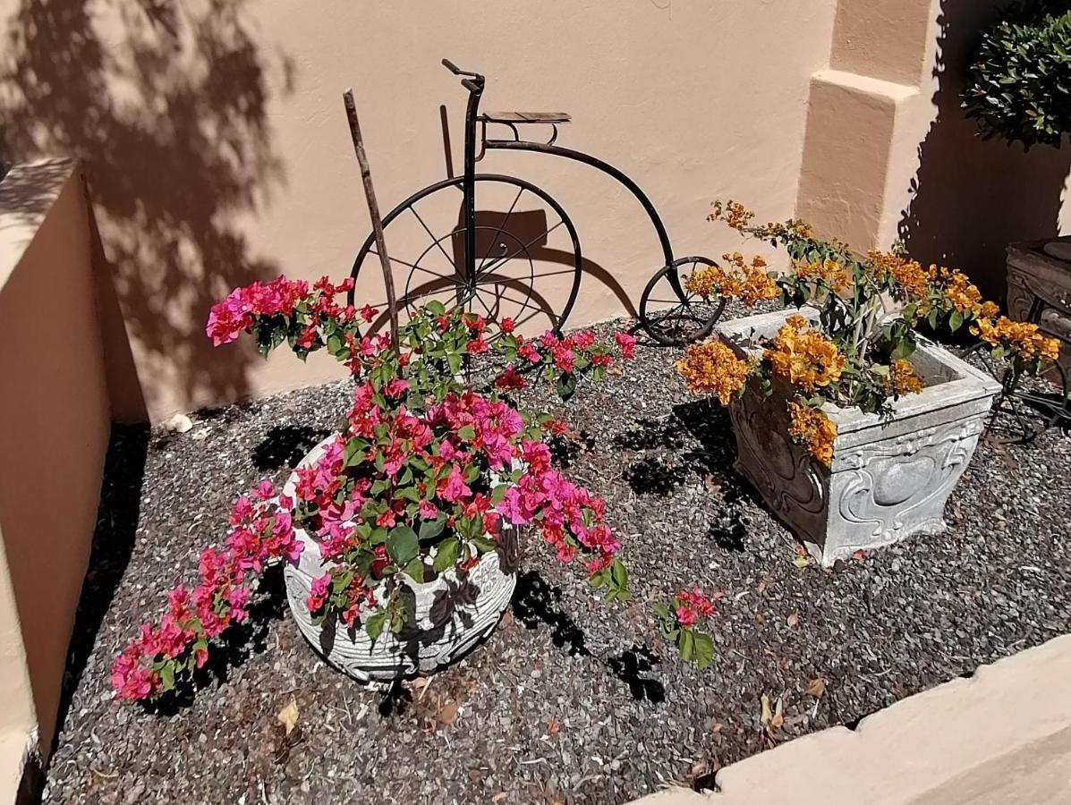Squirrels Corner Montagu Exterior foto